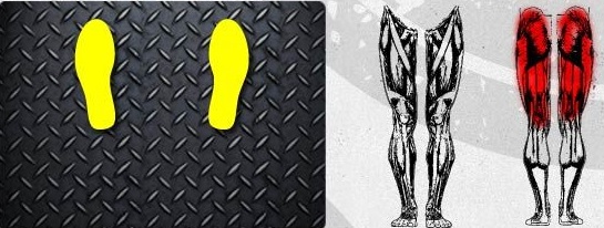 با قرار دادن پاها در قسمت جلویی دستگاه پرس پا(Leg Press) ، بیشتر فشار به عضلات باسن و 
پشت ران وارد می شود.