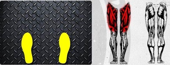 با قرار دادن پاها در قسمت انتهایی صفحه ی پرس پا(Leg Press) ، بطور اختصاصی عضلات چهارسر 
ران را تحت تمرین قرار خواهید داد.